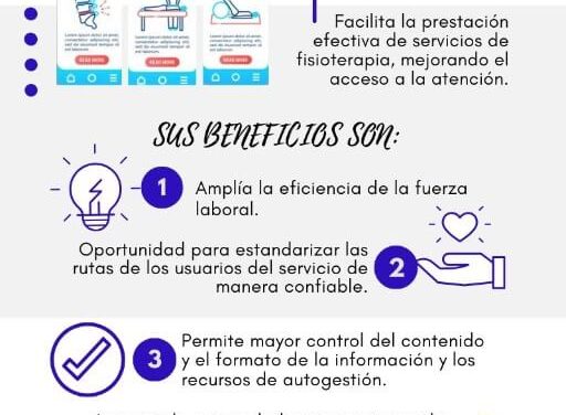 Infografía Fisioterapia Digital